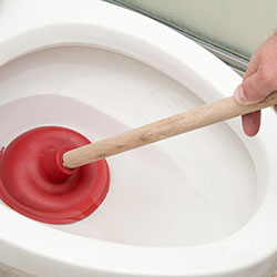 unblocking a toilet